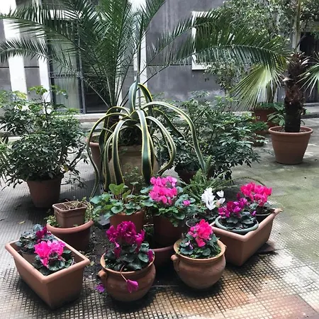 Elegante Centro Storico Appartement Catánia